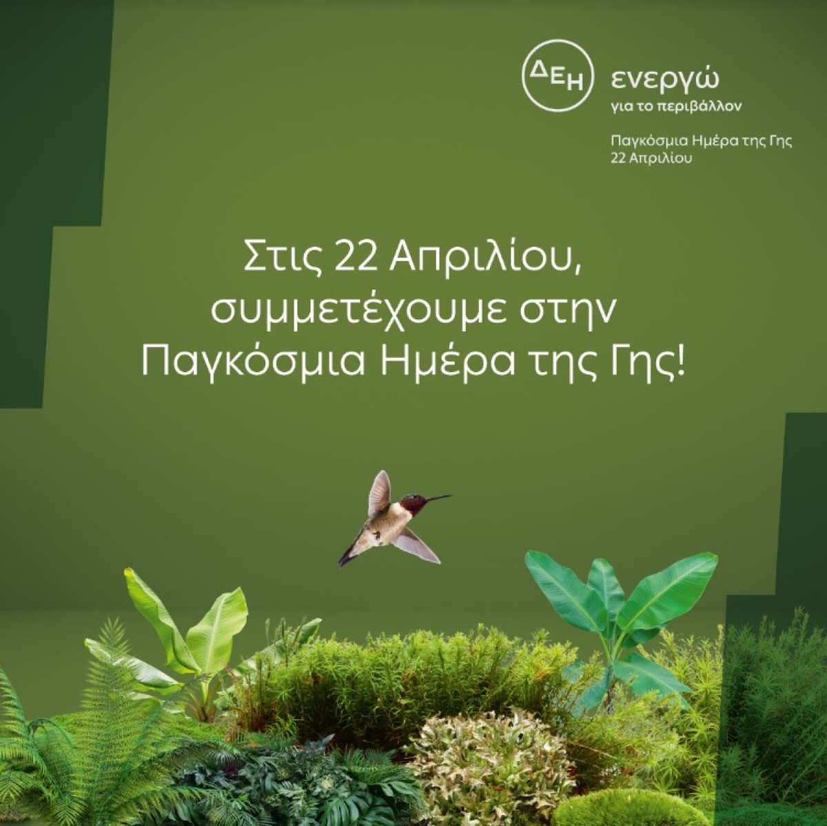 H ΔΕΗ ηλεκτροδοτεί 4,3 εκατ. νοικοκυριά αποκλειστικά από ΑΠΕ αύριο