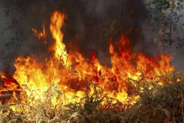 Πυρκαγιά στην περιοχή Καστάνια Μεσσήνης
