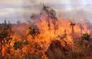 Η Πυροσβεστική καταγγέλλει: Εμπρησμός η πυρκαγιά στην Μυτιλήνη