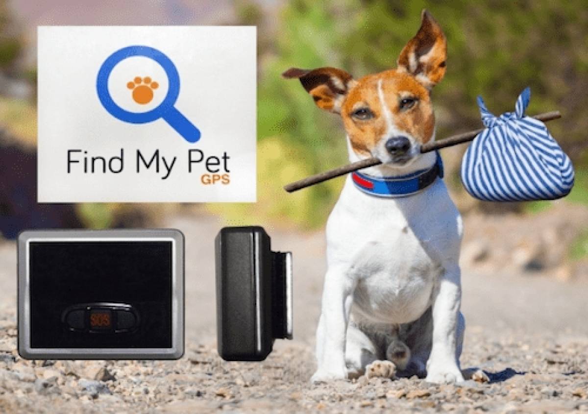 Μήπως τα pet trackers δεν είναι τόσο ασφαλή όσο νομίζουμε;