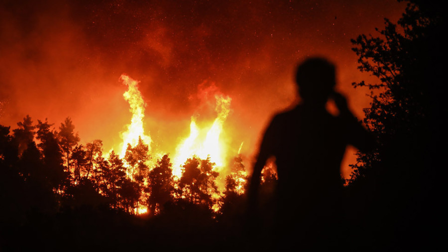 Το 33% των δασών της Αττικής κάηκε σε 7 χρόνια