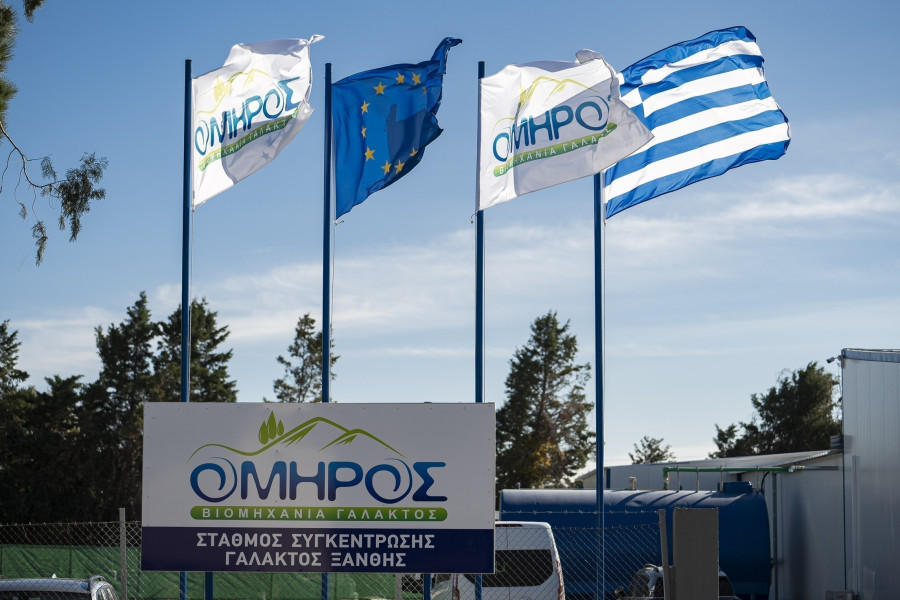 Γαλακτοβιομηχανία «Όμηρος»: Ρεκόρ κερδών το 2024 και στρατηγική εξάπλωσης με νέα επένδυση στην Κύπρο