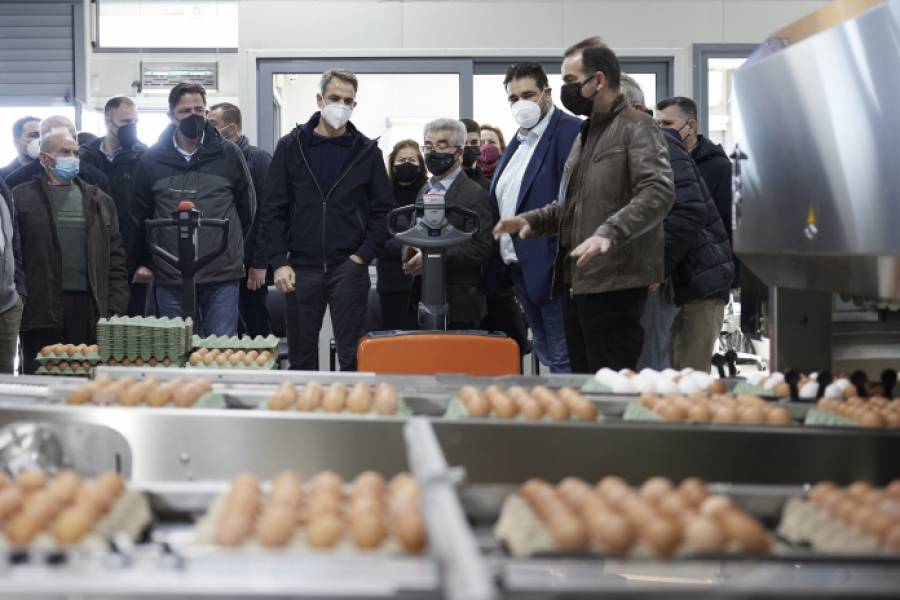 Μητσοτάκης: Στήριξη στις επιχειρήσεις για όσο διαρκεί η ενεργειακή κρίση