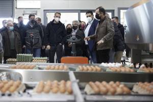 Μητσοτάκης: Στήριξη στις επιχειρήσεις για όσο διαρκεί η ενεργειακή κρίση
