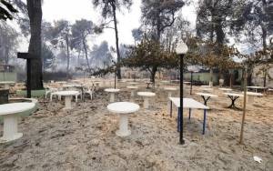Αποζημιώσεις πυρόπληκτων: Βήμα-βήμα η συμπλήρωση της αίτησης στο arogi.gov.gr