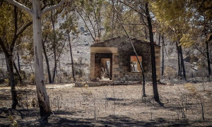 Άμεσα η καταγραφή των ζημιών από τις πυρκαγιές στην Ρόδο