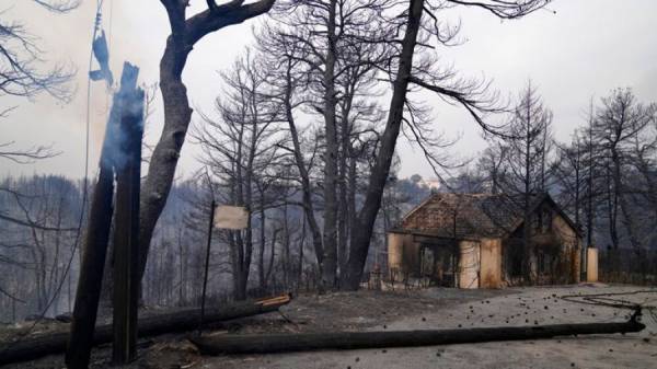 Συνεχίζονται οι έλεγχοι κτιρίων στις πυρόπληκτες περιοχές-1.961 αυτοψίες