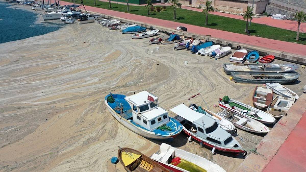 Η θαλάσσια «βλέννα» του Μαρμαρά απειλεί το Αιγαίο