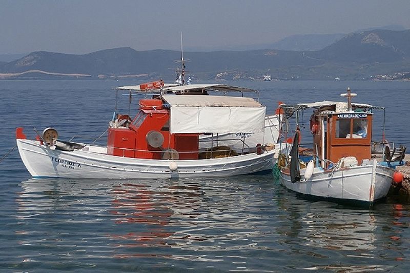 Εναλεία: Επαναπροσδιορίζοντας (και κάνοντας μόδα) την Αλιεία!