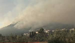 «Ολοκαύτωμα» στη Βόρεια Εύβοια- Δήμαρχος Ιστιαίας: Είμαστε μόνοι
