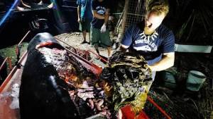 Φιλιππίνες: Νεκρή φάλαινα αφού κατάπιε 40 κιλά πλαστικές σακούλες