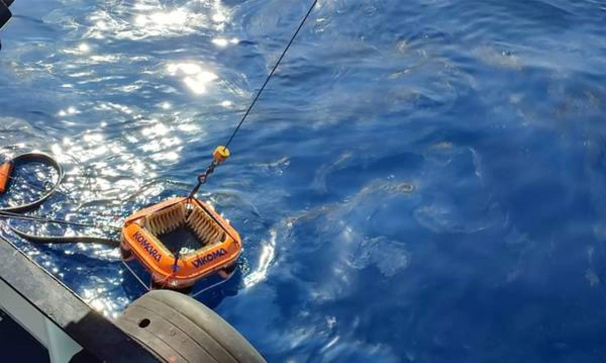 Ναυάγιο SEA BIRD: Ποιο είναι το οικολογικό αποτύπωμα