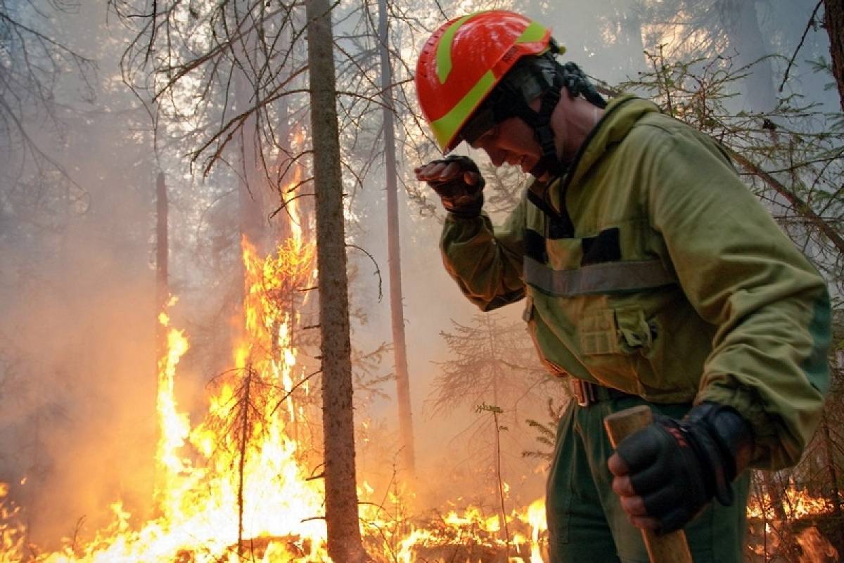 Εικοσιτέσσερις πυρκαγιές στη χώρα το τελευταίο 24ωρο