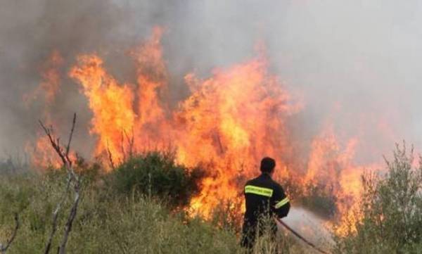 Φωτιά στην Κλινδία Ηλείας