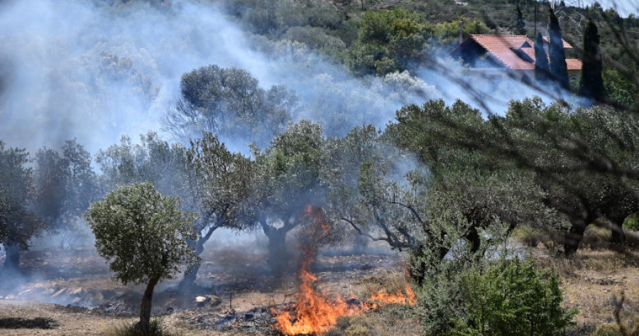Φωτιές: Κάηκε το 23% της Αττικής σε 7 καλοκαίρια (χάρτες)