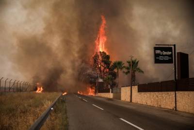 Περιφέρεια Αττικής: Στις 77 οι πληγείσες επιχειρήσεις από τις πυρκαγιές