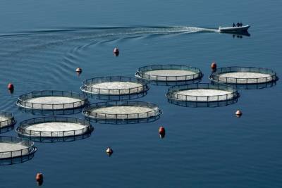 ΕΕ: Νέα μέτρα στήριξης σε αλιεία και υδατοκαλλιέργεια