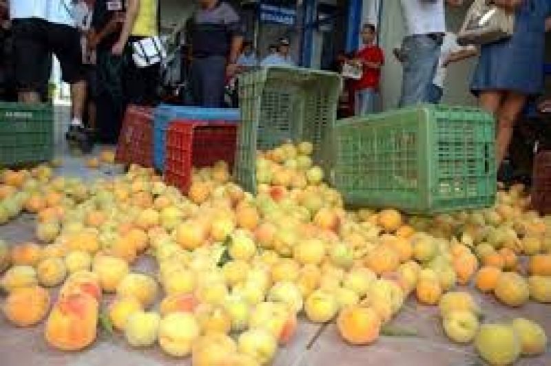 Ρωσικό εμπάργκο: Στους 25.000 τόνους τα αδιάθετα ροδάκινα &amp; νεκταρίνια στην Ημαθία