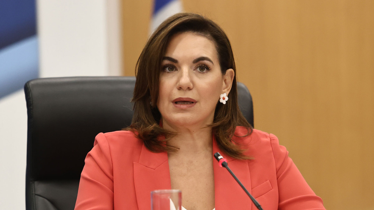 Κεφαλογιάννη: Ρεκόρ εσόδων στον τουρισμό το 2025 - Ρατσιστικό το περιστατικό στη Σύρο