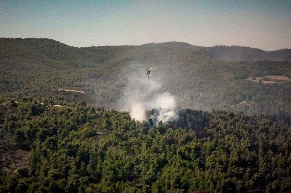 Φωτιά στην Ερέτρια κοντά σε σπίτια – Μήνυμα από το 112