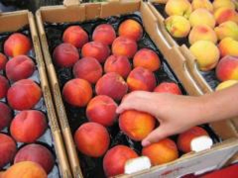 Ακριβότερο κατά 1.200% το ροδάκινο από το χωράφι στο ράφι