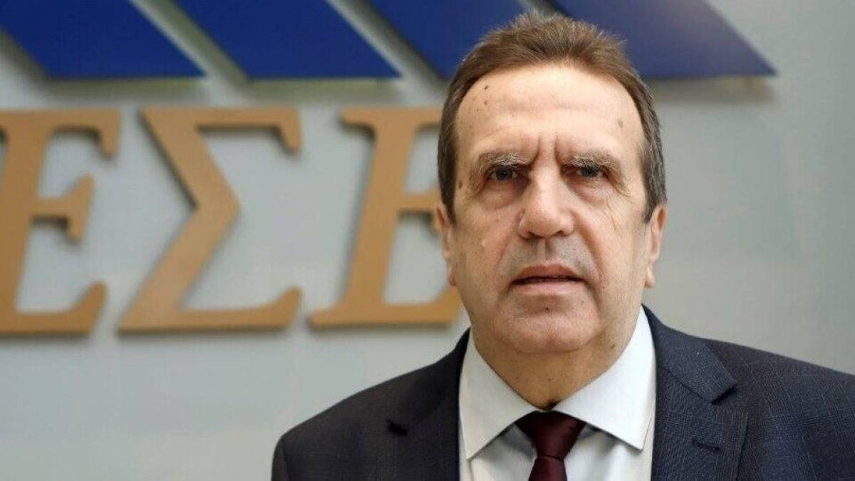 Καρανίκας: Ο Έλληνας έμπορος να μην φοβηθεί την ψηφιακή πρόκληση
