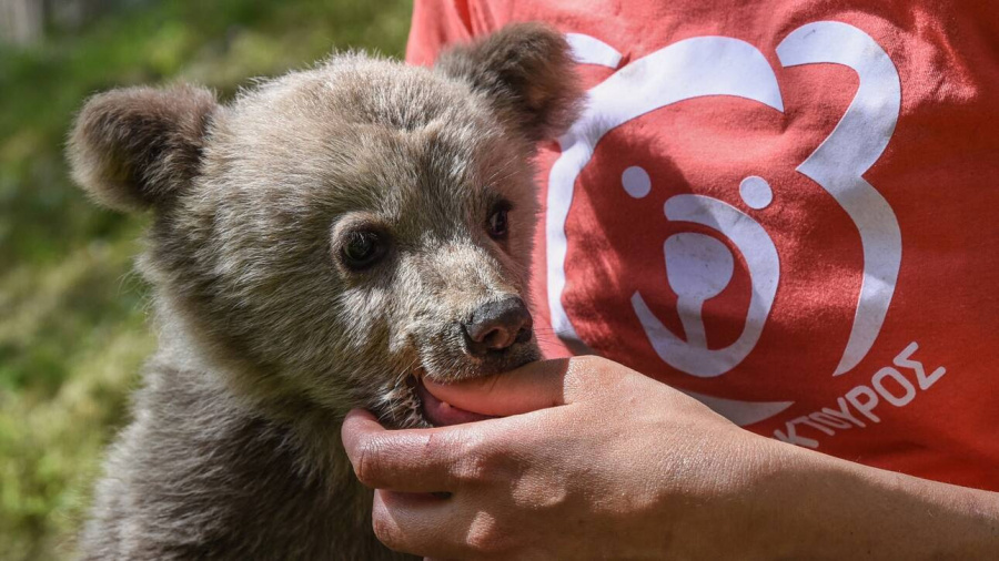 ΔΩΔΕΚΑ: Η πρωτοβουλία της FedHATTA για το 12μηνο τουρισμό ανανεώνεται