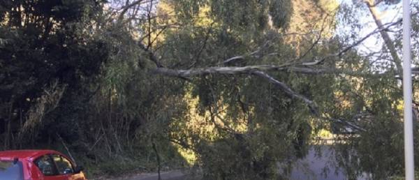 Τρεις νεκροί στη Ρώμη εξαιτίας των θυελλωδών ανέμων