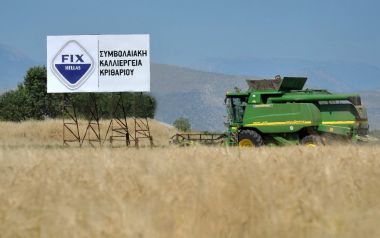 Μπύρα FIX και Τράπεζα Πειραιώς… θερίζουν διπλάσιο κριθάρι φέτος