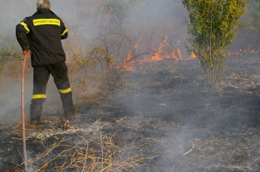 Δύο πυρκαγιές σε εξέλιξη στον νομό Τρικάλων