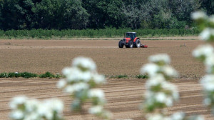 ΕΛΓΑ: Αποζημιώσεις 48,3 εκατ. ευρώ για ζημιές του 2022