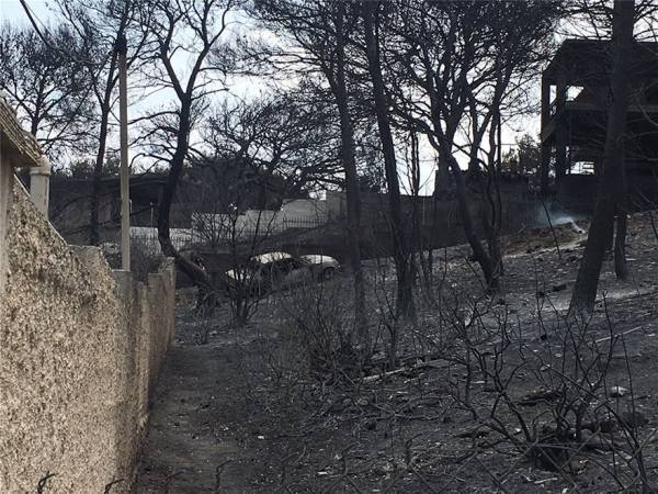 Δημοσία δαπάνη οι κηδείες των θυμάτων των πυρκαγιών