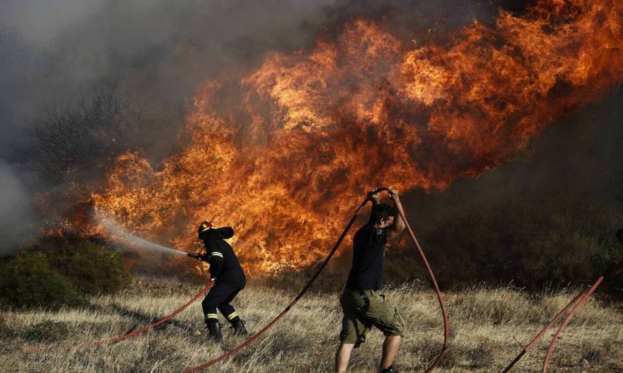 Θλιβερός απολογισμός στην Εύβοια -Κάηκαν 23.565 στρέμματα