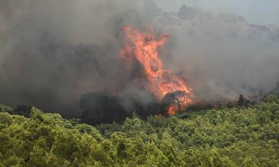 Εύβοια: Φωτιά κοντά στην Κάρυστο- Εκκενώθηκαν παραθεριστικές κατοικίες
