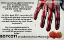 Διεθνής κατακραυγή για τη Μανωλάδα - Μποϊκοτάζ στις &quot;ματωμένες&quot; φράουλες
