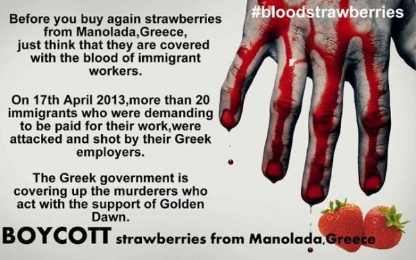 Διεθνής κατακραυγή για τη Μανωλάδα - Μποϊκοτάζ στις &quot;ματωμένες&quot; φράουλες