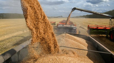 Η χειρότερη επισιτιστική κρίση από το 2008, λέει το ΔΝΤ