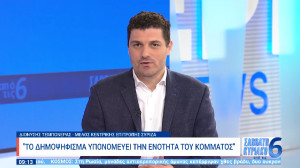 Τεμπονέρας: Αχρείαστη και βαθιά διχαστική η πρόταση για δημοψήφισμα