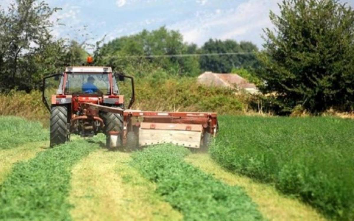 Ειδική Ασφαλιστική Εισφορά ΕΛΓΑ: Σε 4 χρόνια η εξόφληση χρεών