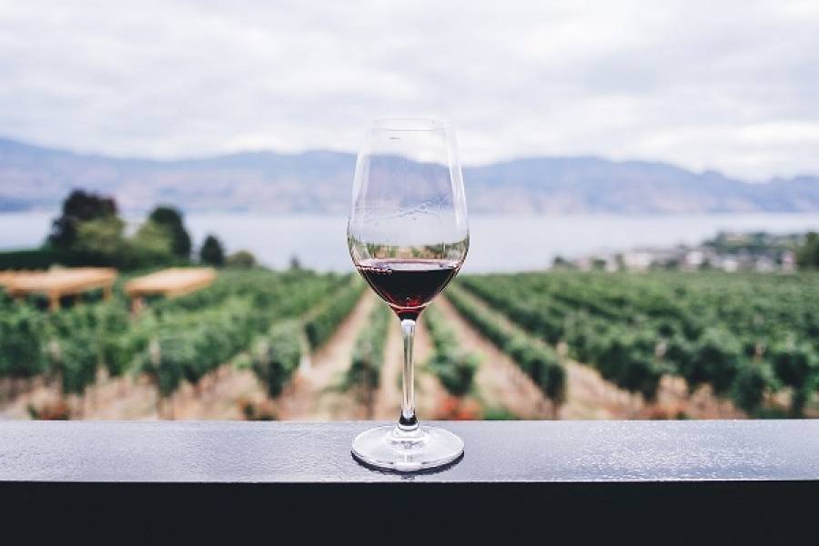 Αφαιρέθηκε ο όρος «μακεδονικός» για κρασιά που παράγονται στα Σκόπια
