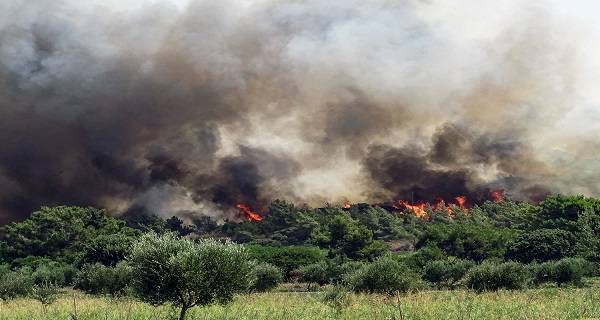 Σε κατάσταση έκτακτης ανάγκης οι δήμοι Πεταλούδων και Καλλιθέας Ρόδου