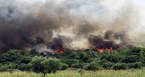 Σε κατάσταση έκτακτης ανάγκης οι δήμοι Πεταλούδων και Καλλιθέας Ρόδου