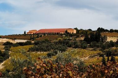 Στα premium κρασιά επενδύει η Semeli