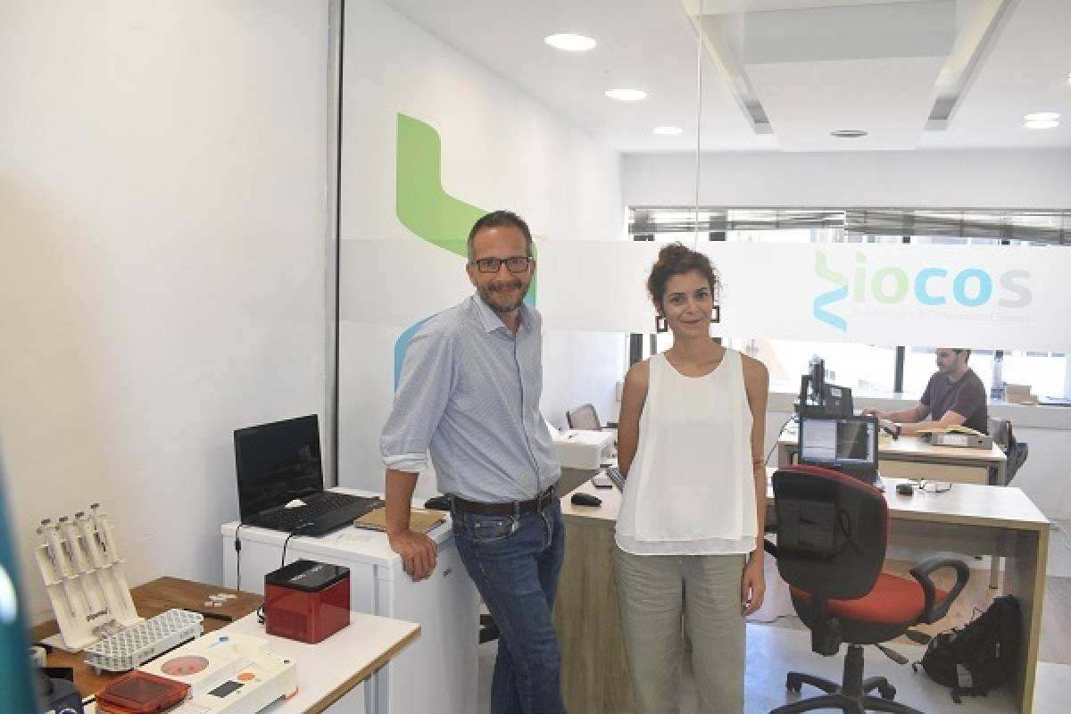 BioCos: Μια πλατφόρμα που διακρίνει τις ποικιλίες ελιάς με χρήση αλγόριθμου