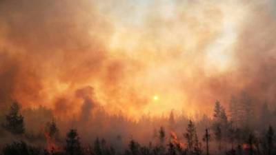 DW: Οι δασικές πυρκαγιές και η κλιματική αλλαγή