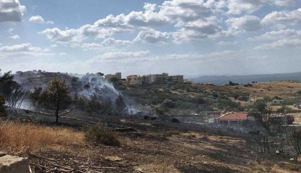 Σαρωνίδα: Σε ύφεση η φωτιά - Υλικές ζημιές σε σπίτια