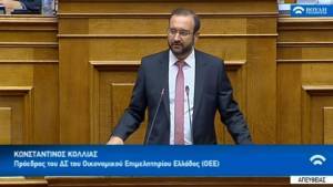 Οι θέσεις του ΟΕΕ για τον αναπτυξιακό νόμο