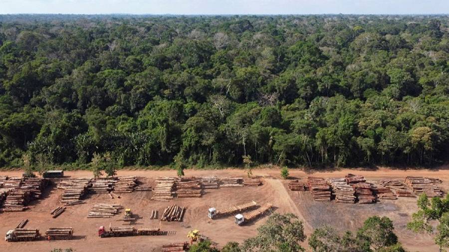 COP26: Συμφωνία για «φρένο» στην αποψίλωση των δασών