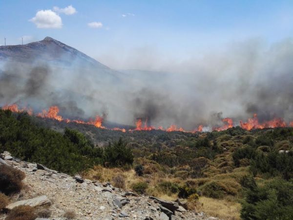 Μεγάλες ζημιές από την πυρκαγιά στην Κάρυστο