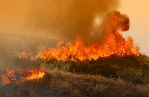 Υπό έλεγχο τα πύρινα μέτωπα σε Ναύπλιο και Θάσο